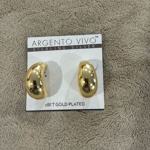 Gold plated earrings